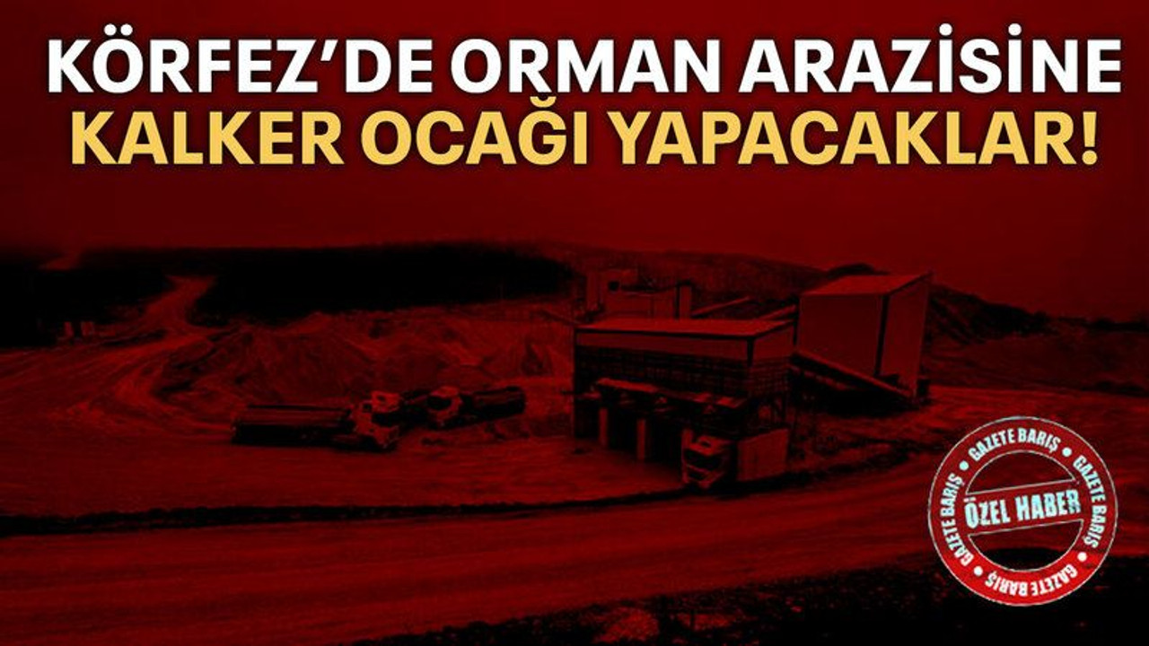 Körfez’de orman arazisine kalker ocağı yapacaklar!